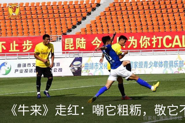 《牛来》走红：嘲它粗粝，敬它不跪