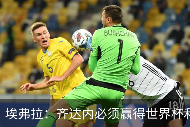 埃弗拉：齐达内必须赢得世界杯和欧洲杯，这是人们对他的期望